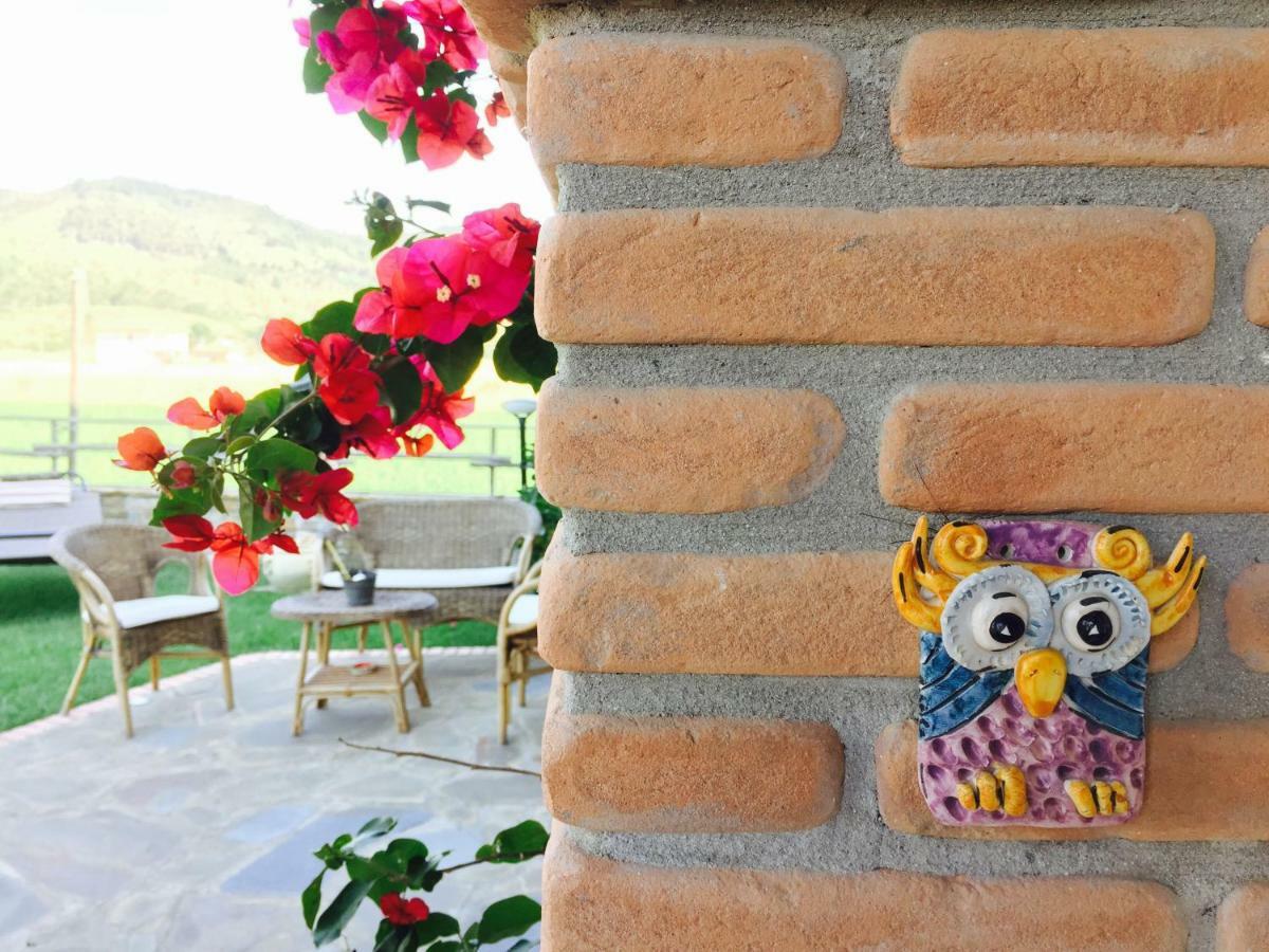B&B La Nonnina Del Cilento Casal Velino Dış mekan fotoğraf