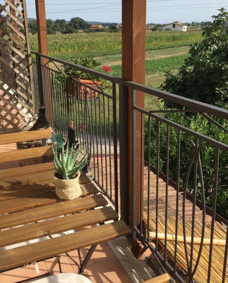 B&B La Nonnina Del Cilento Casal Velino Dış mekan fotoğraf