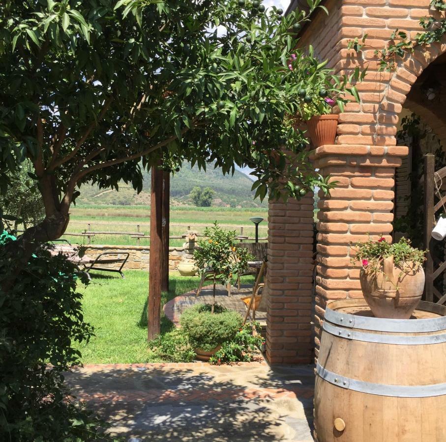 B&B La Nonnina Del Cilento Casal Velino Dış mekan fotoğraf